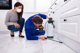 Best Pest Exclusion Services  in Hamilton College, NY